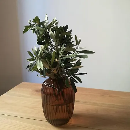 بيت ضيافة Blavet 3*